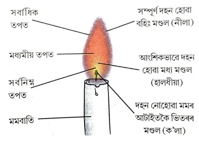 class 8 Science Chapter 6