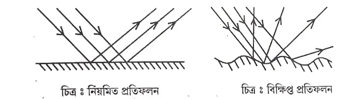 Class 8 Science chapter 16